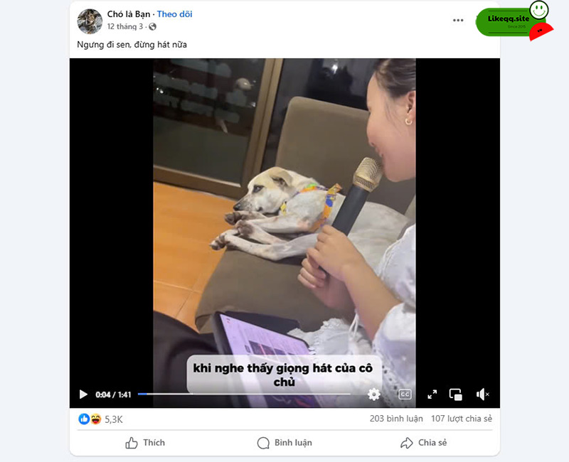 Câu hỏi liên quan auto share facebook free