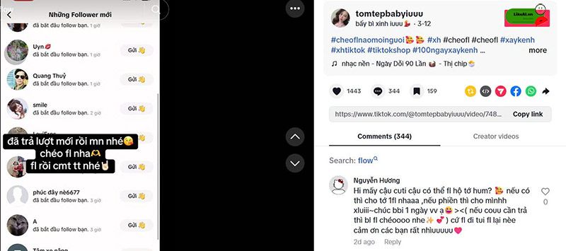 Trao đổi sub trực tiếp trên tiktok