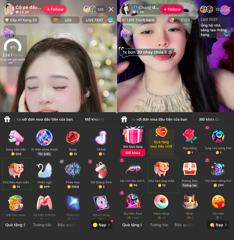 1 con Heo trên TikTok bao nhiêu tiền