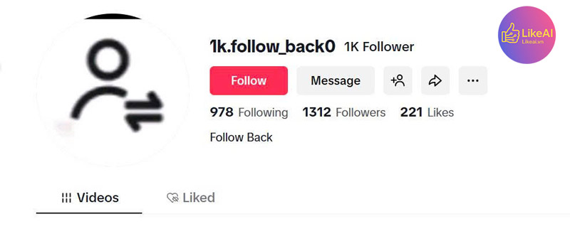 1k follow là bao Nhiêu người