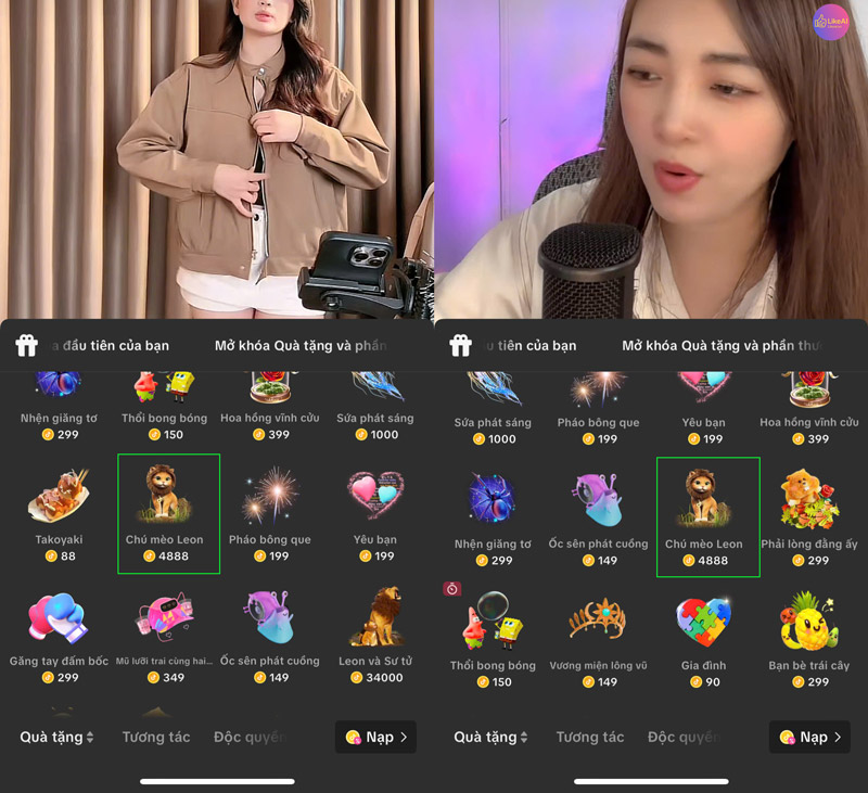 Chú mèo Leon trên TikTok bao nhiêu tiền